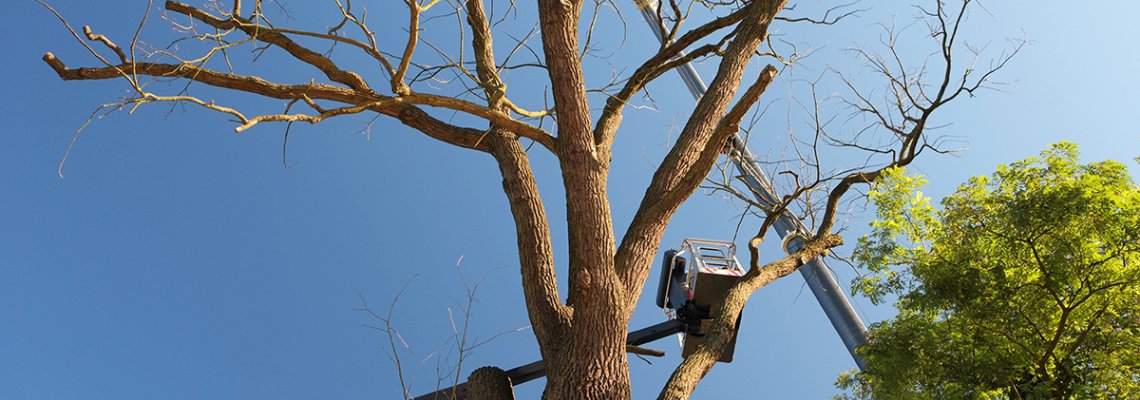 garten-landschaftsbau-potsdam.jpg